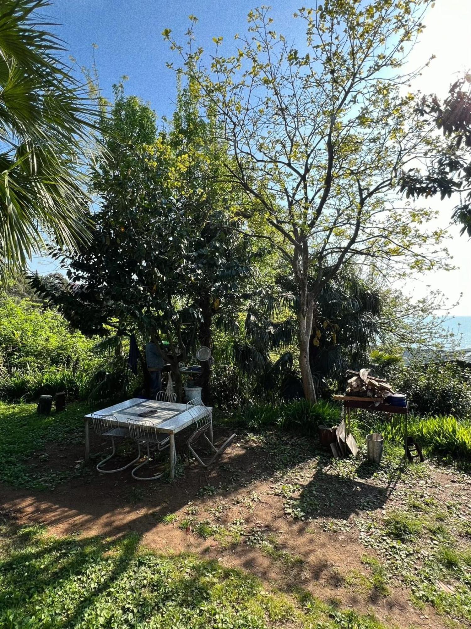 Guesthouse Eco Chakvi Kültér fotó