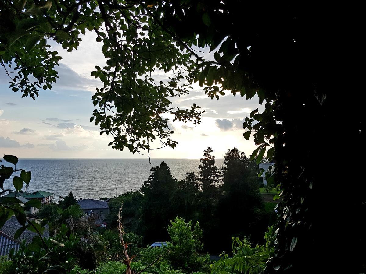 Guesthouse Eco Chakvi Kültér fotó