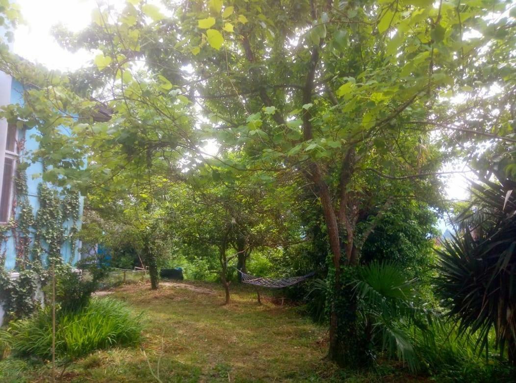 Guesthouse Eco Chakvi Kültér fotó
