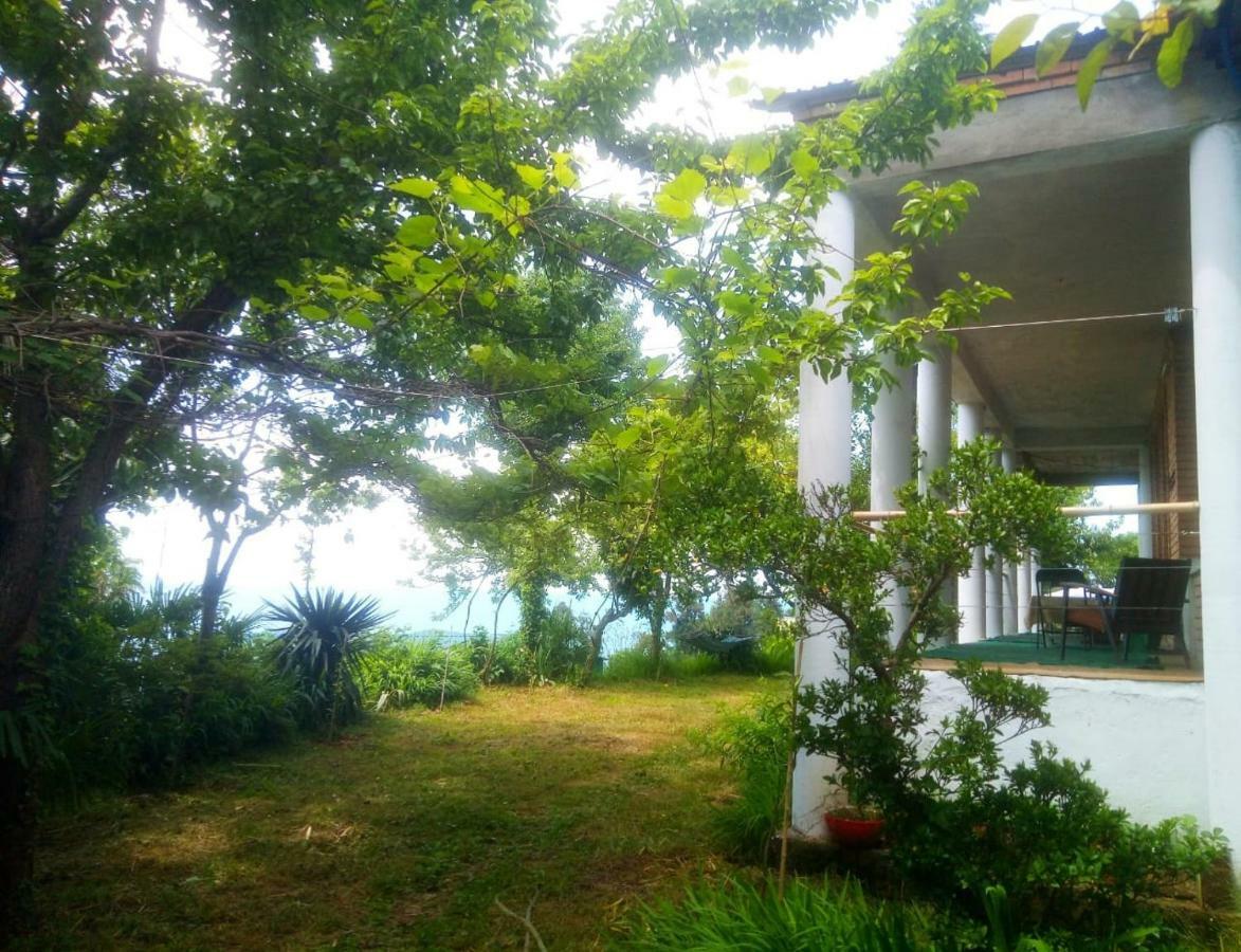 Guesthouse Eco Chakvi Kültér fotó