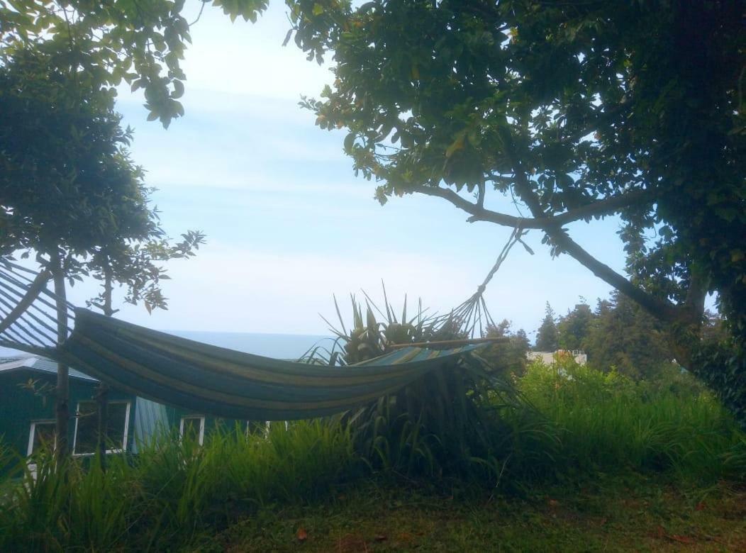 Guesthouse Eco Chakvi Kültér fotó